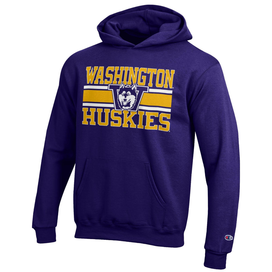Champion Kids' Purple Washington Huskies Vault Dog Hood