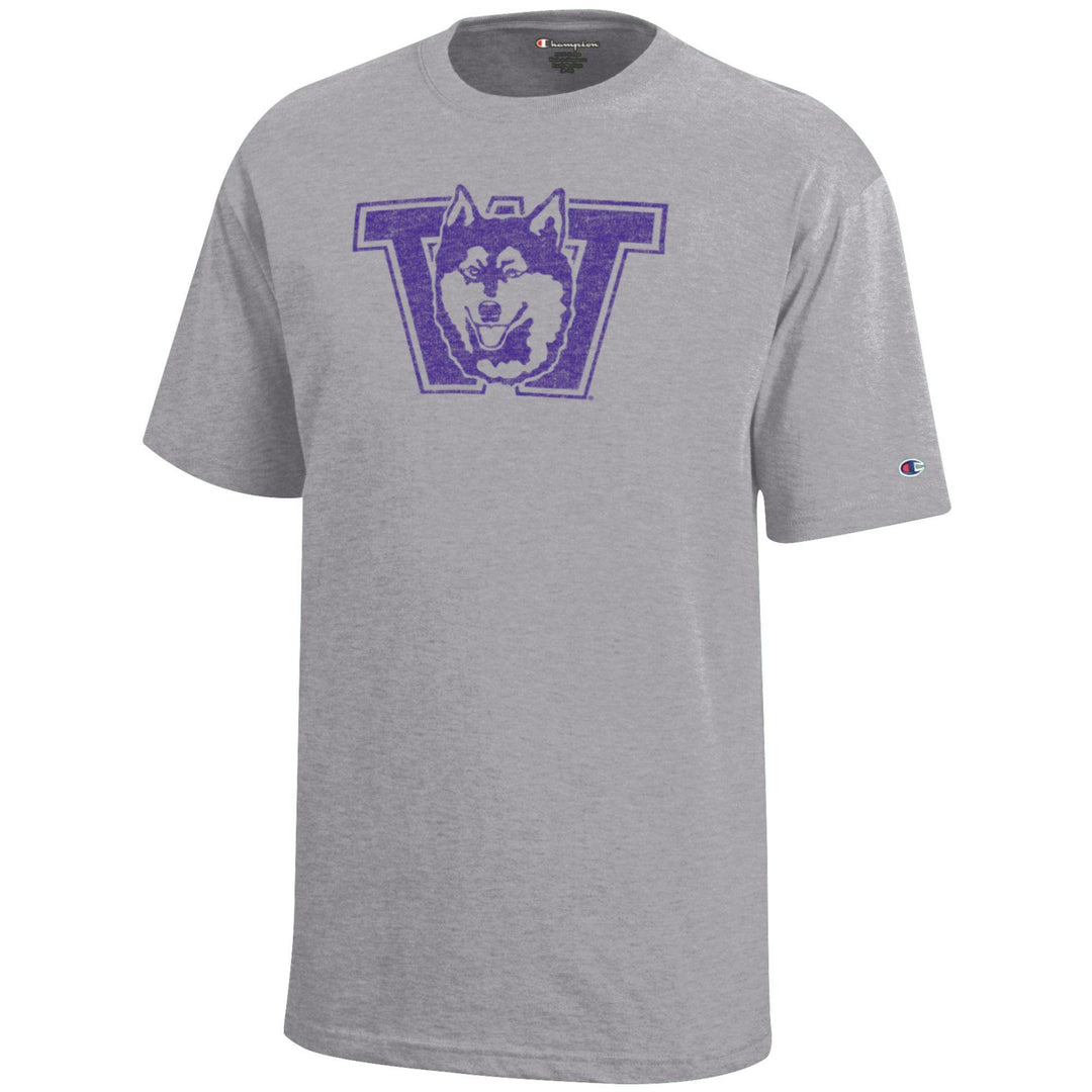 Champion Kids' Grey Vault Dog Soft Tint Tee