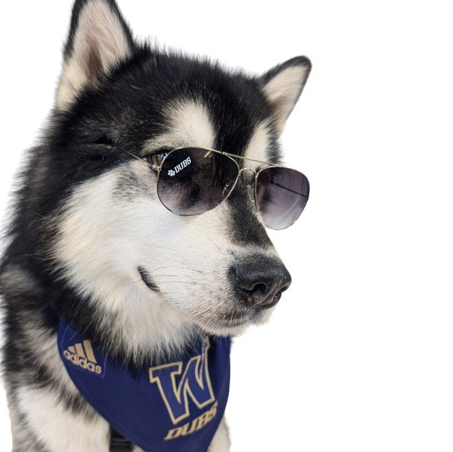 Dubs Collection Neil Dubs Paw Aviator Sunglasses