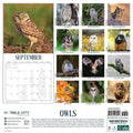2027 Owls Wall Calendar thumbnail