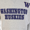 Mitchell & Ness Men's Washington Huskies 3DE Off Season Hoodie thumbnail