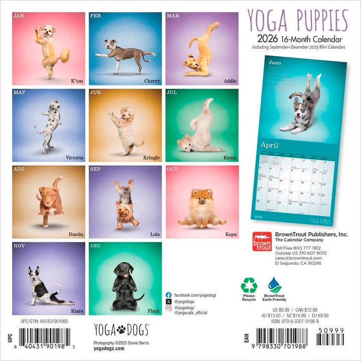 Small Changes Yoga Puppies 2026 Mini Wall Calendar