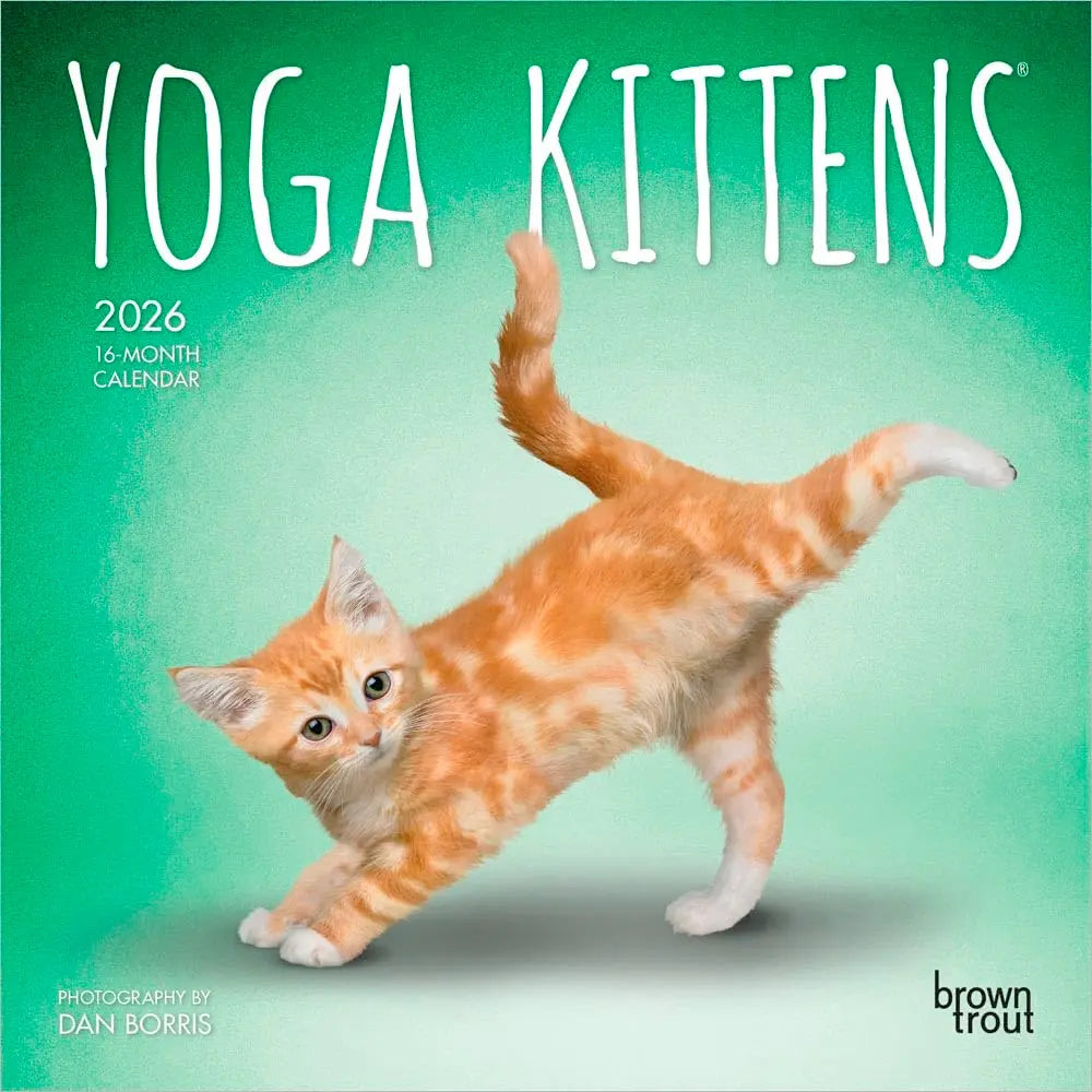 Small Changes Yoga Kittens 2026 Mini Wall Calendar