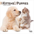 2027 Kittens & Puppies Mini Calendar thumbnail