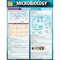 Photo of Microbiology Bar Chart.