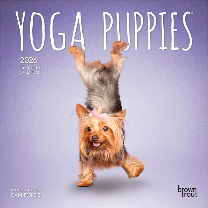 Small Changes Yoga Puppies 2026 Mini Wall Calendar
