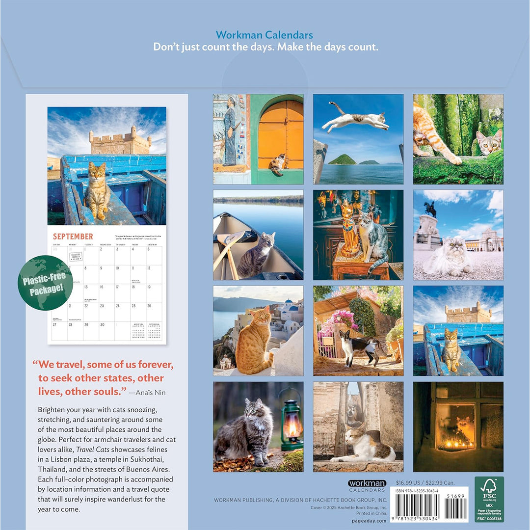 Travel Cats Wall Calendar 2026