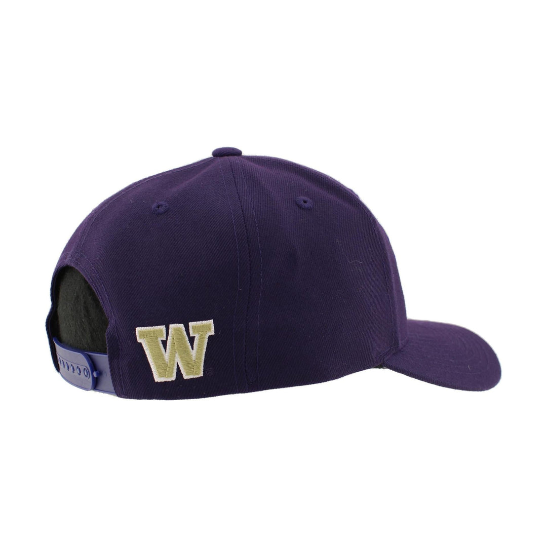 Zephyr Purple Washington Seattle Skyline Competitor Snapback Hat
