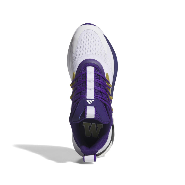 adidas Men's AlphaBoost V2 Shoe