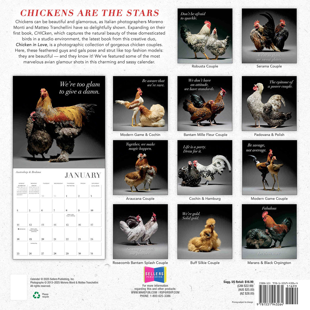 Small Changes Glamour Chicks 2026 Wall Calendar