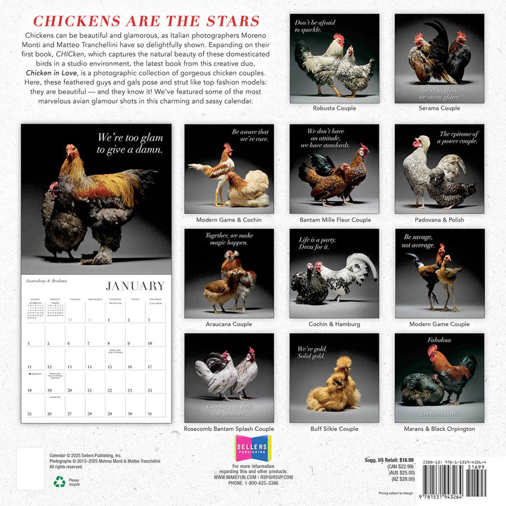 Small Changes Glamour Chicks 2026 Wall Calendar