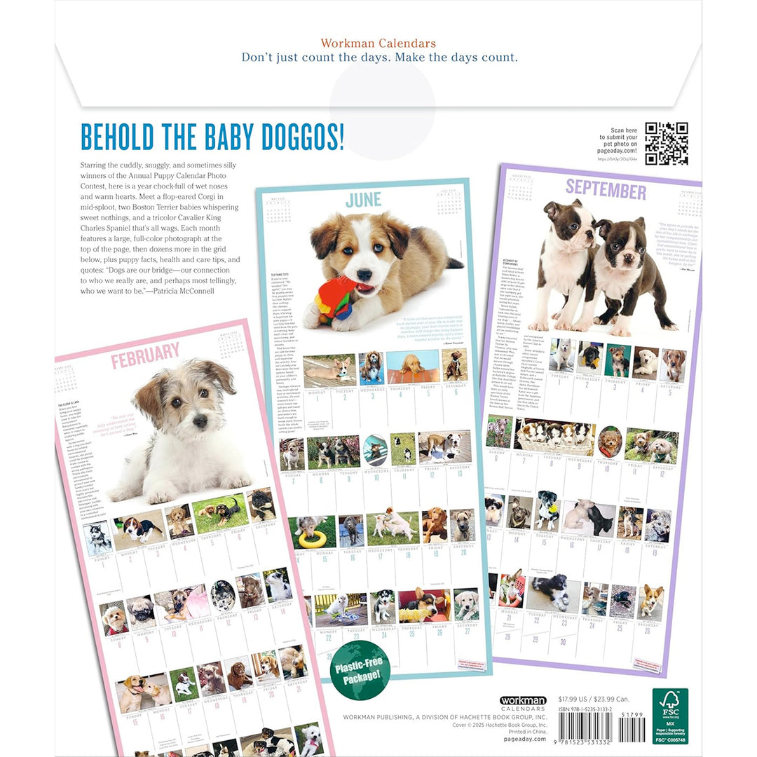365 Puppies-A-Year Picture-A-Day Wall Calendar 2026