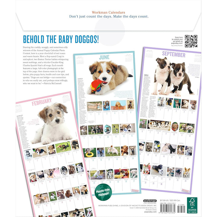 365 Puppies-A-Year Picture-A-Day Wall Calendar 2026
