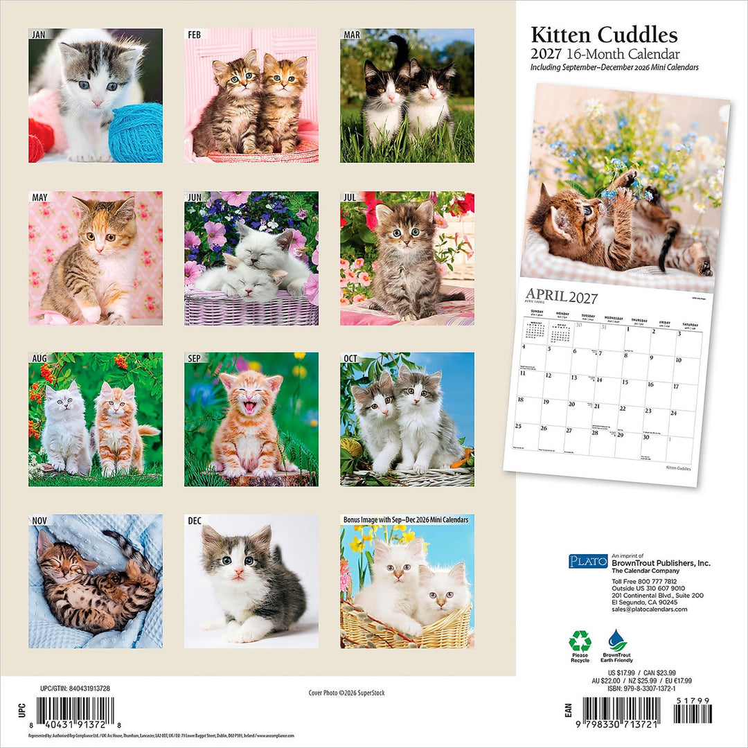 2027 Kitten Cuddles Wall Calendar