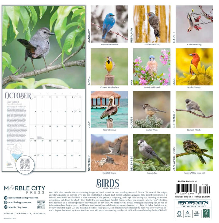 2026 Birds: Feathered Friends 16-month Wall Calendar