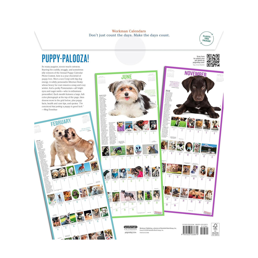 365 Puppies-A-Year Picture-A-Day Wall 2027 Calendar
