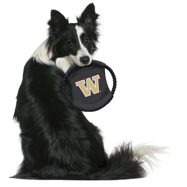 Little Earth Black Washington Flying Disc Pet Toy