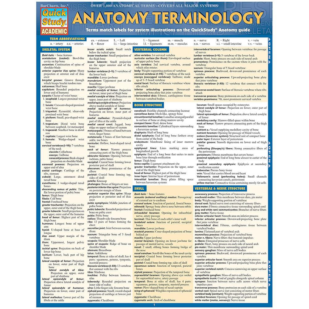 Anatomy Terminology Bar Chart – University Book Store