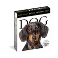 Dog Page-A-Day Gallery 2027 Calendar thumbnail