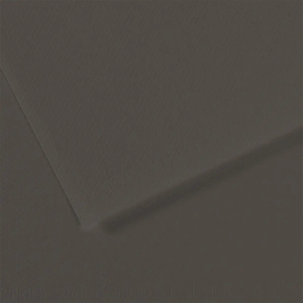 Canson 19x25 Mi-Teintes Paper