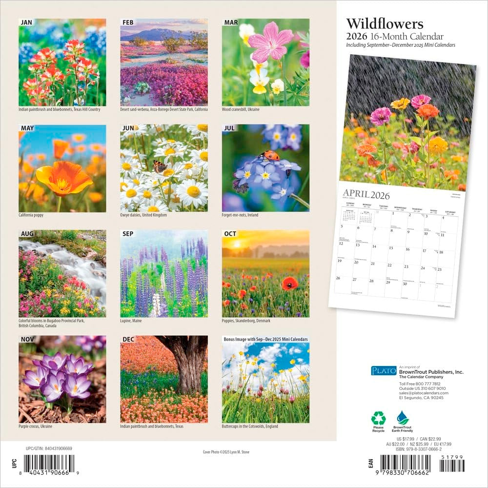 2026 Wildflowers Wall Calendar