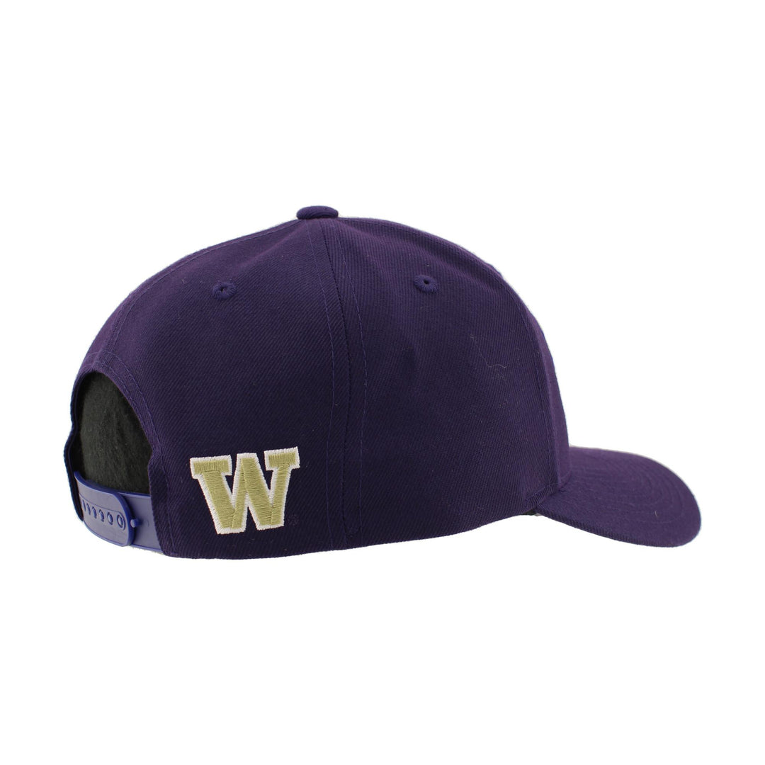 Zephyr Purple Washington Seattle Skyline Competitor Snapback Hat