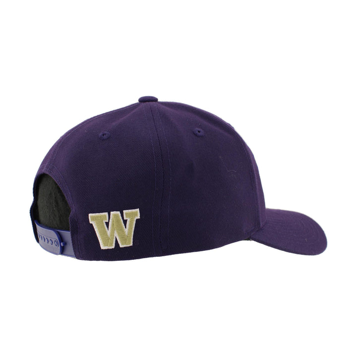 Zephyr Purple Washington Seattle Skyline Competitor Snapback Hat