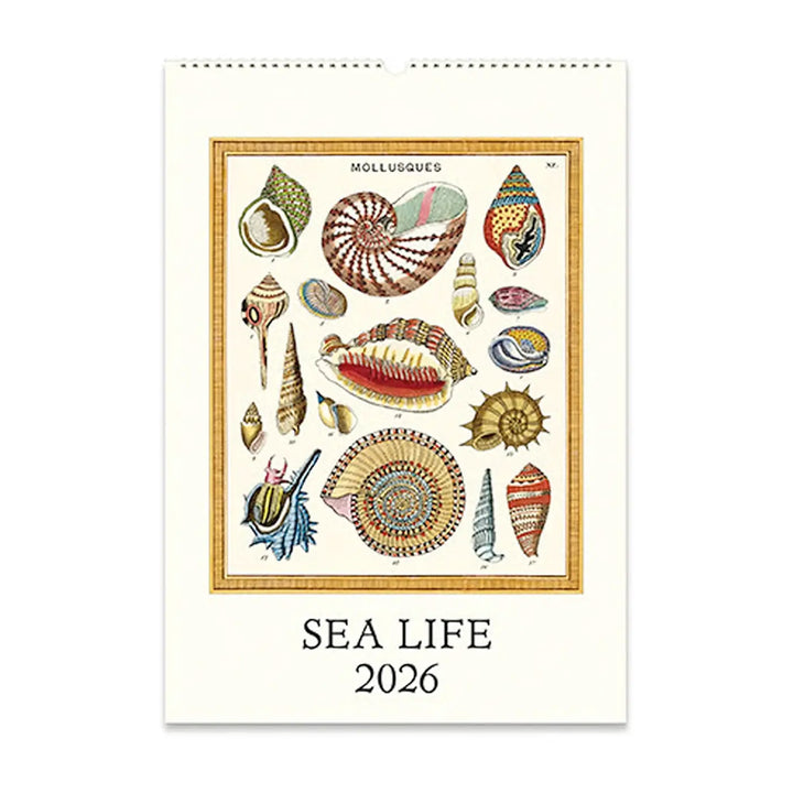 Cavallini Sea Life 2026 Wall Calendar