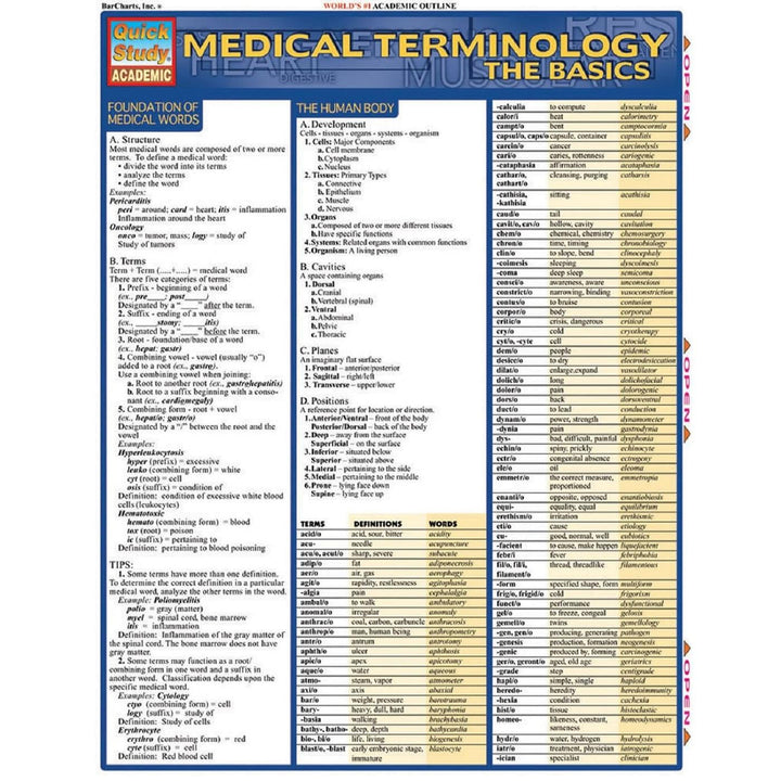 Medical Terminology Basics Bar Chart