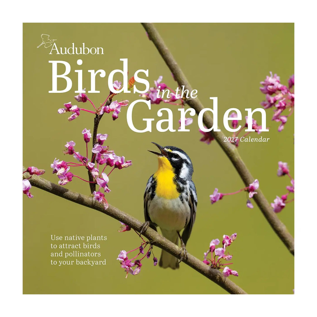 Audubon Birds in the Garden Wall 2027 Calendar