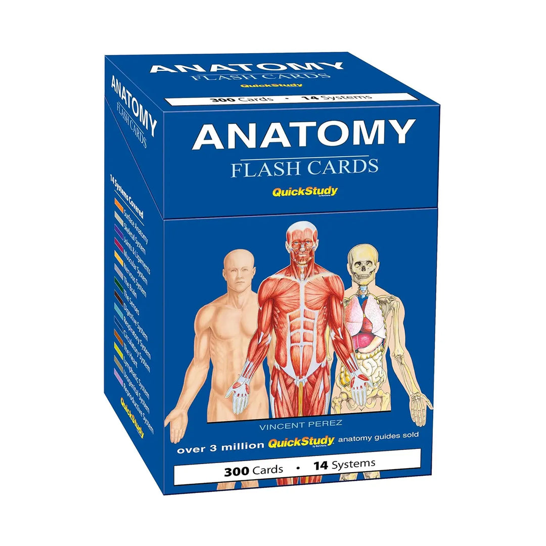 Anatomy Flash Cards (2025 Update)