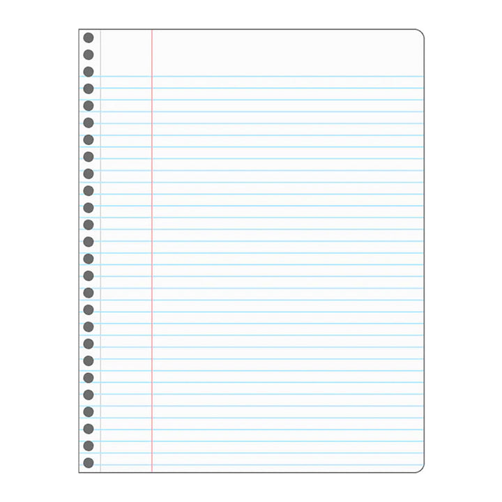 Decomposition Fennec Foxes 7.5"x9.75" College Spiral 80ct