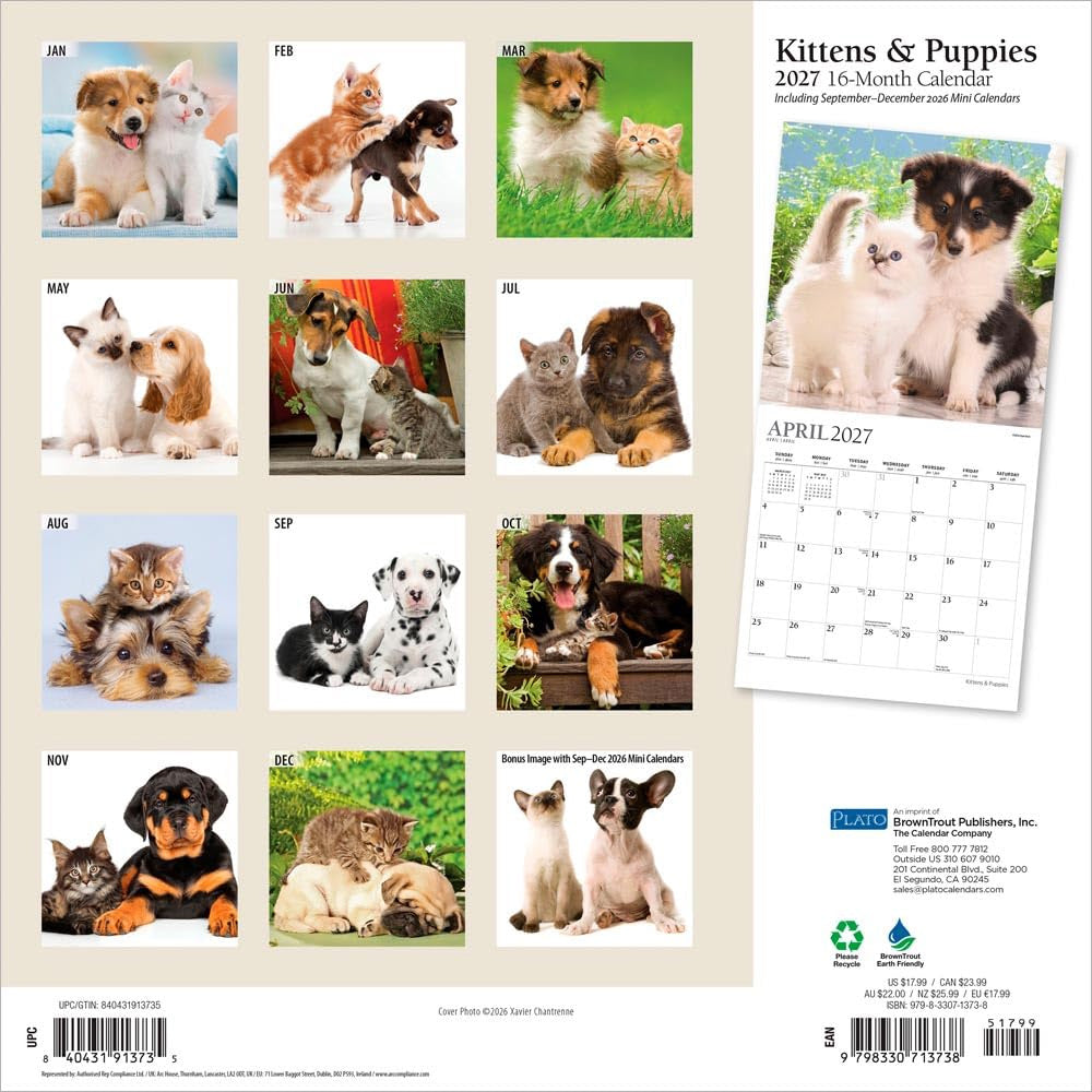 2027 Kittens & Puppies Wall Calendar