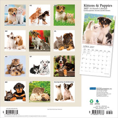 2027 Kittens & Puppies Wall Calendar Hover