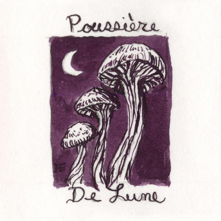 J. Herbin 10ml Fountain Pen Ink