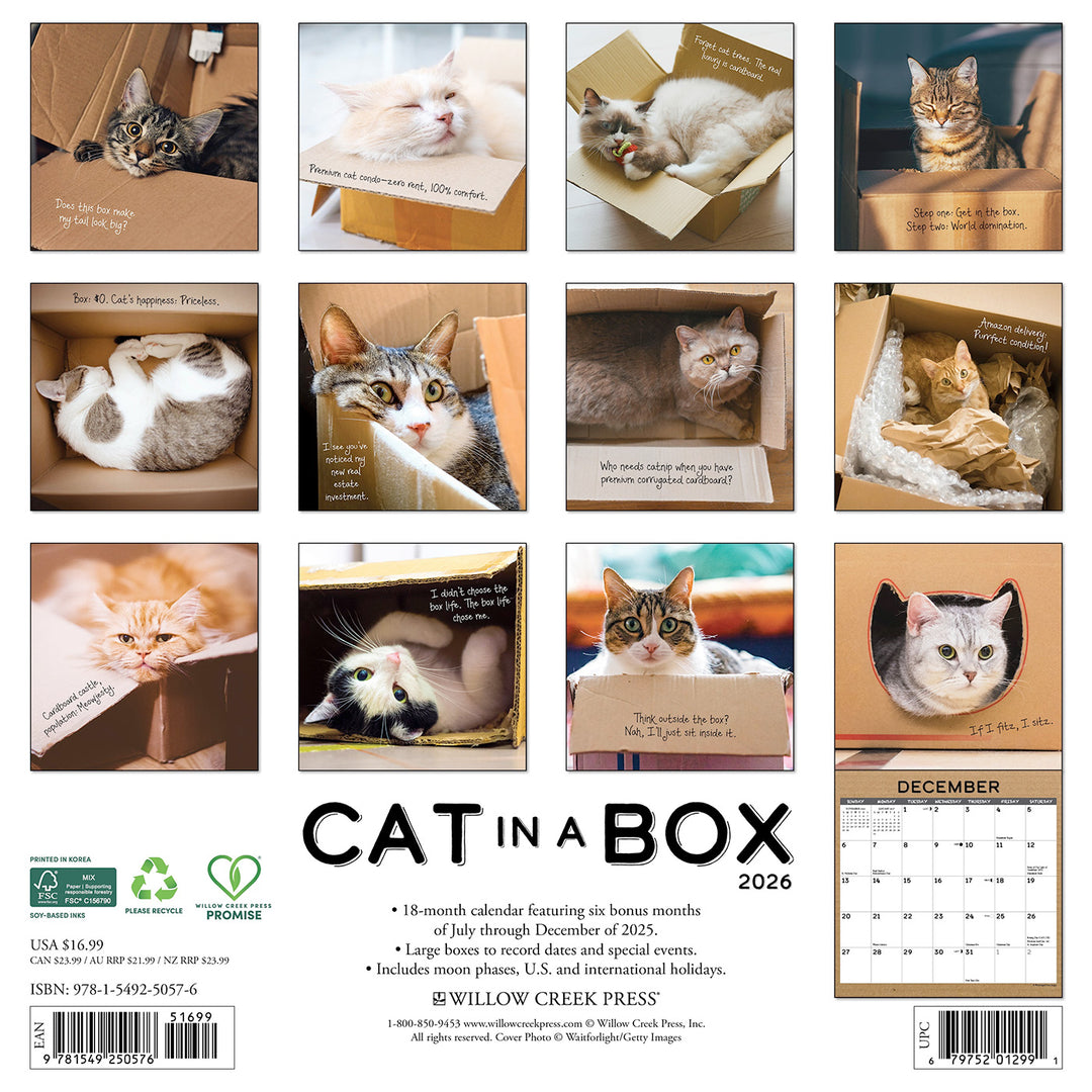 Small Changes Cat in a Box 2026 Wall Calendar