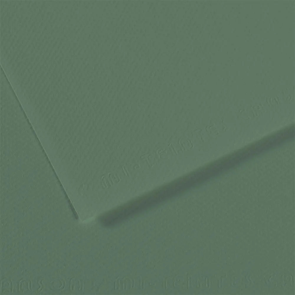 Canson 19x25 Mi-Teintes Paper