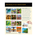 Audubon Nature Page-A-Day Gallery 2027 Calendar thumbnail