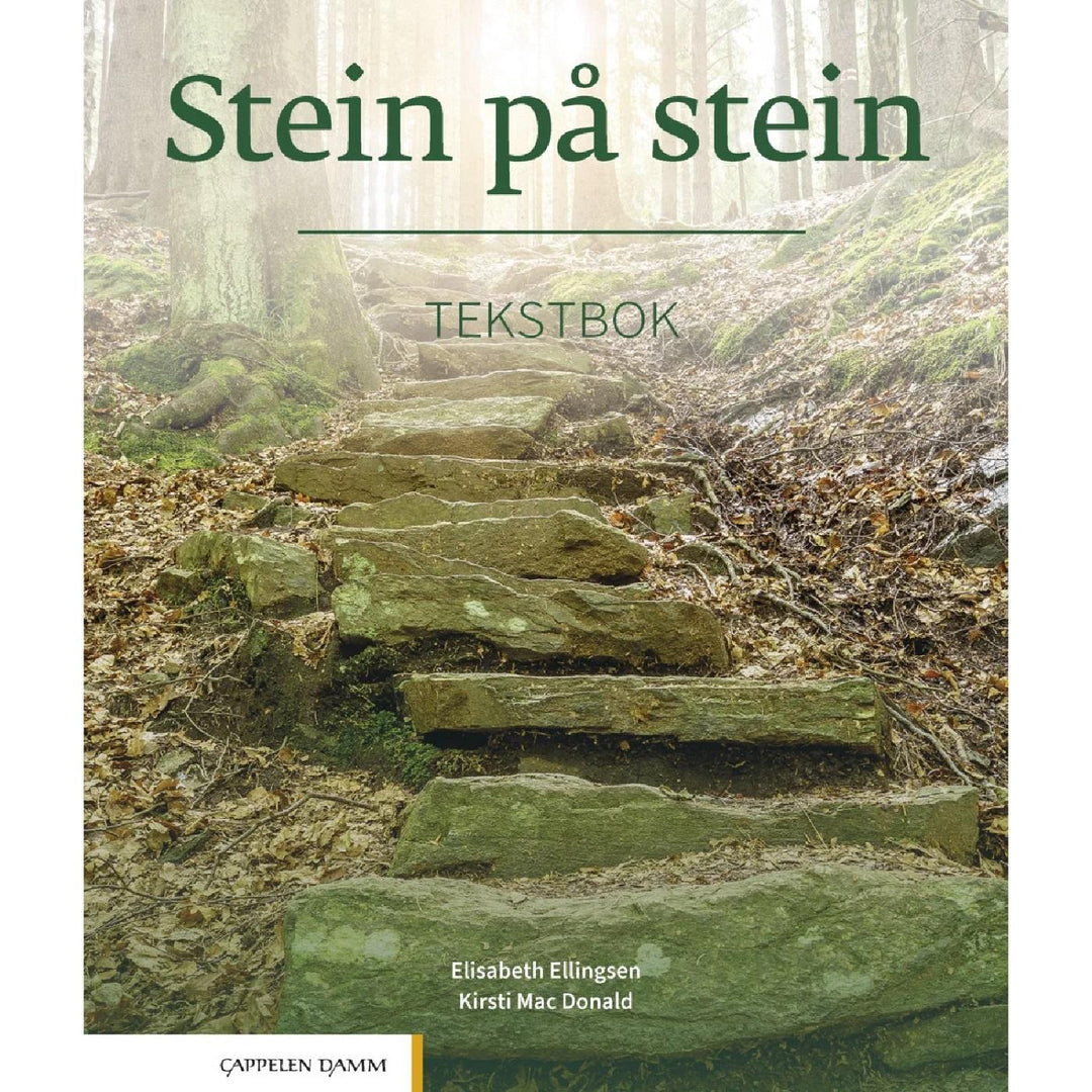 Stein Pa Stein, Tekstbok (Cappelen Damm, 2021)