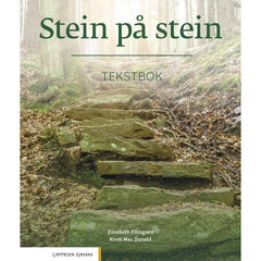 Stein Pa Stein, Tekstbok (Cappelen Damm, 2021)