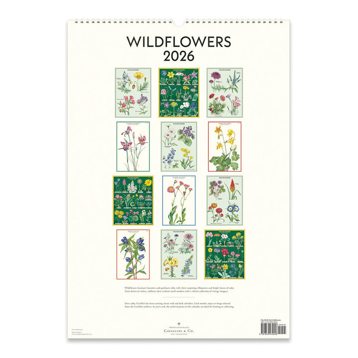 Cavallini Wildflowers 2026 Wall Calendar