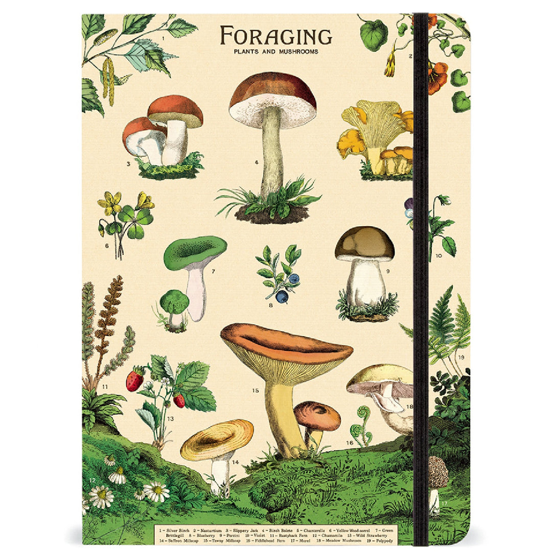 Cavallini Foraging Large Notebook