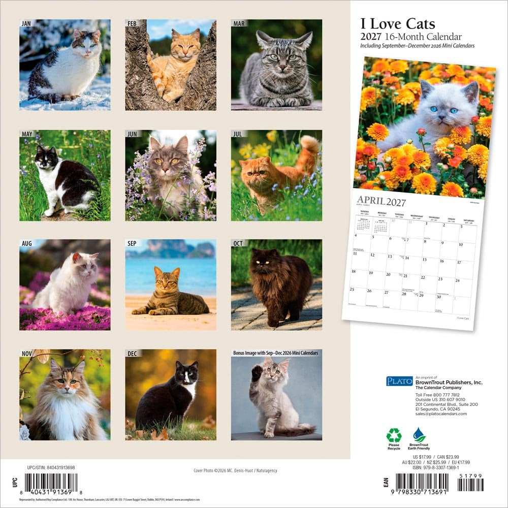 2027 I Love Cats Wall Calendar