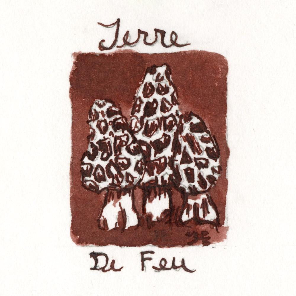 J. Herbin 10ml Fountain Pen Ink