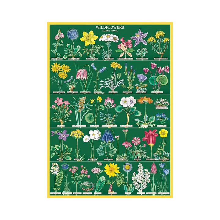 Cavallini 20" x 28" Wildflowers 2 Decorative Paper