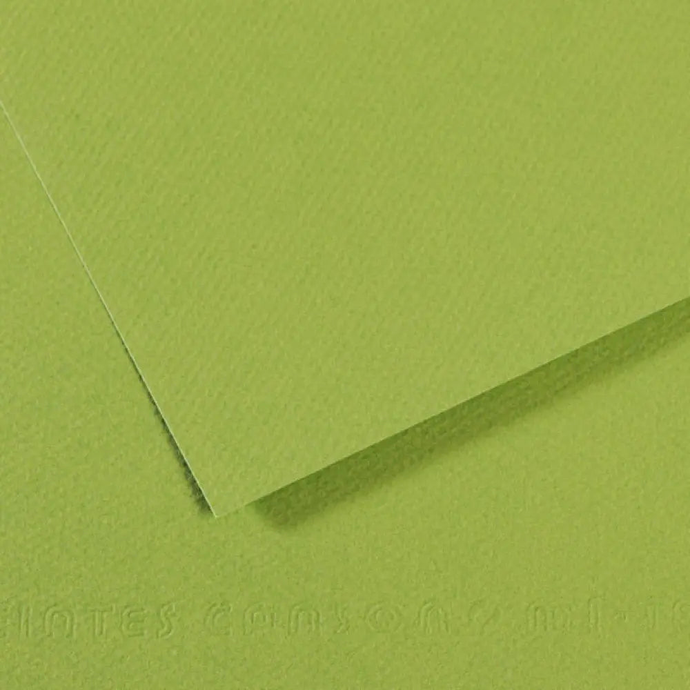 Canson 19x25 Mi-Teintes Paper