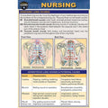 Nursing Pocket Guide thumbnail