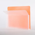 Filexec Letter Size Poly File Jacket thumbnail