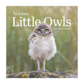 Audubon Little Owls Mini Wall 2027 Calendar thumbnail