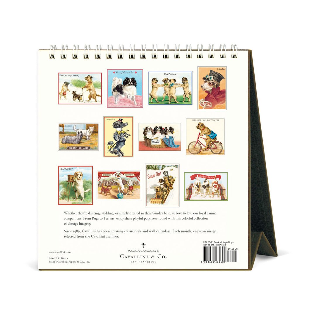 Cavallini Dogs 2026 Desk Calendar